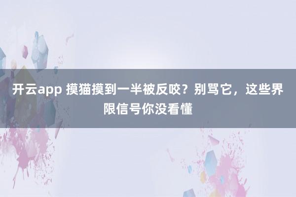 开云app 摸猫摸到一半被反咬？别骂它，这些界限信号你没看懂