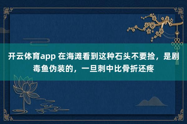 开云体育app 在海滩看到这种石头不要捡，是剧毒鱼伪装的，一旦刺中比骨折还疼