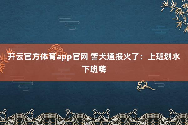 开云官方体育app官网 警犬通报火了：上班划水下班嗨