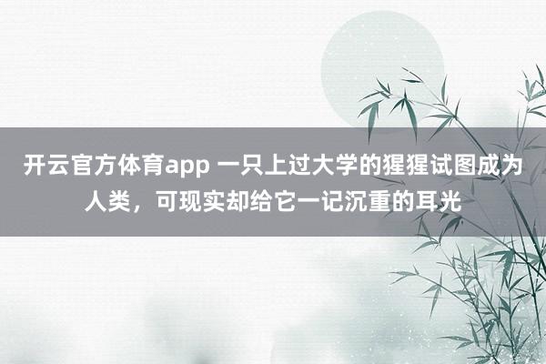 开云官方体育app 一只上过大学的猩猩试图成为人类，可现实却给它一记沉重的耳光