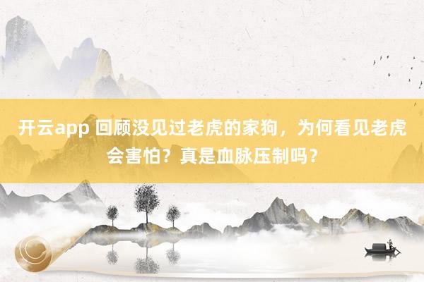 开云app 回顾没见过老虎的家狗，为何看见老虎会害怕？真是血脉压制吗？