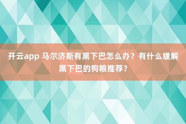 开云app 马尔济斯有黑下巴怎么办？有什么缓解黑下巴的狗粮推荐？