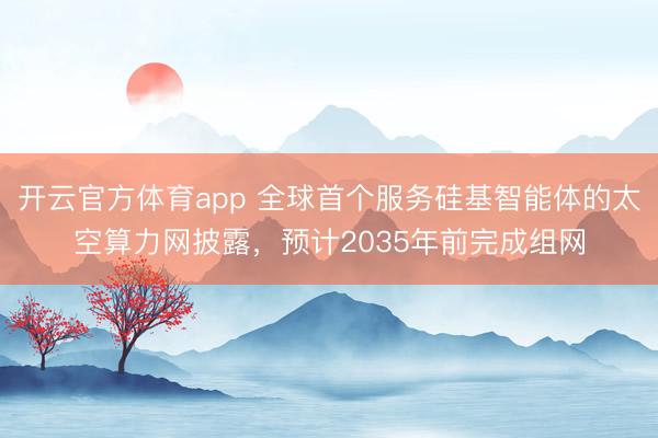 开云官方体育app 全球首个服务硅基智能体的太空算力网披露，预计2035年前完成组网