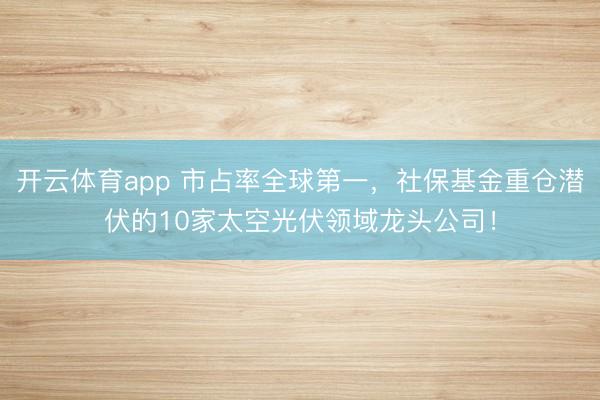 开云体育app 市占率全球第一，社保基金重仓潜伏的10家太空光伏领域龙头公司！