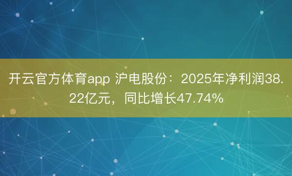 开云官方体育app 沪电股份：2025年净利润38.22亿元，同比增长47.74%