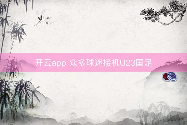 开云app 众多球迷接机U23国足