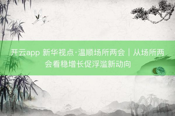 开云app 新华视点·温顺场所两会｜从场所两会看稳增长促浮滥新动向
