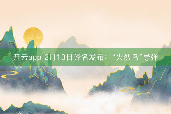 开云app 2月13日译名发布：“火烈鸟”导弹