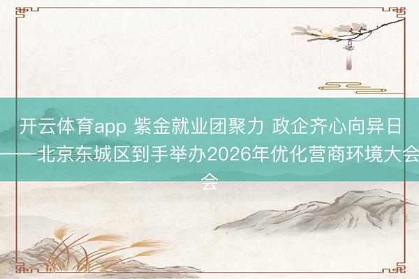开云体育app 紫金就业团聚力 政企齐心向异日——北京东城区到手举办2026年优化营商环境大会