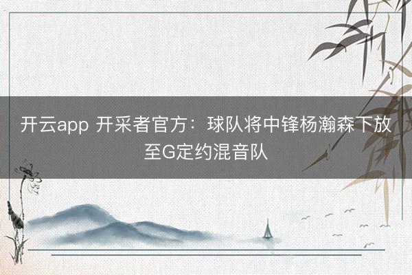 开云app 开采者官方：球队将中锋杨瀚森下放至G定约混音队