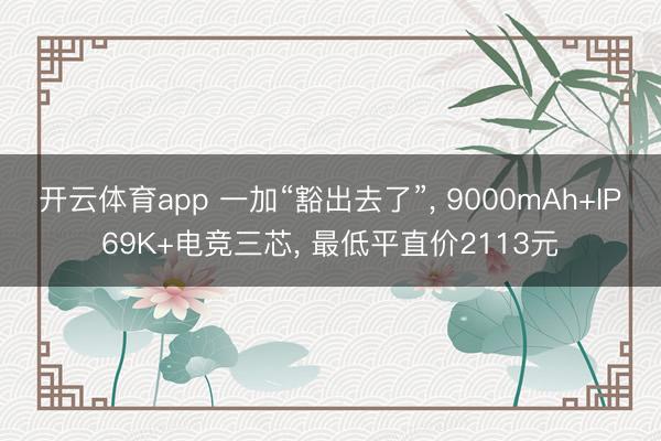 开云体育app 一加“豁出去了”, 9000mAh+IP69K+电竞三芯, 最低平直价2113元