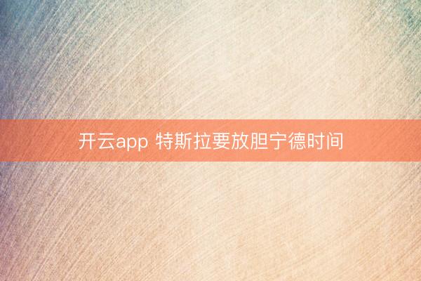 开云app 特斯拉要放胆宁德时间