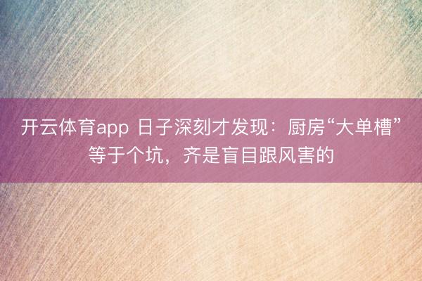 开云体育app 日子深刻才发现：厨房“大单槽”等于个坑，齐是盲目跟风害的