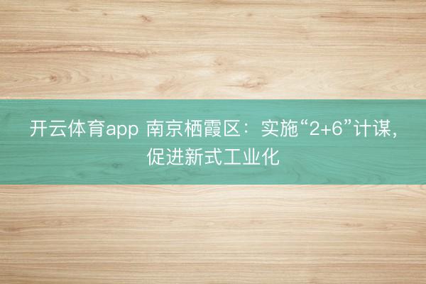 开云体育app 南京栖霞区：实施“2+6”计谋，促进新式工业化