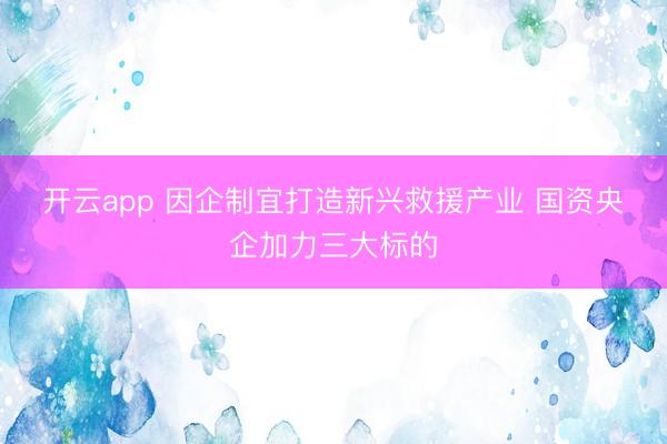 开云app 因企制宜打造新兴救援产业 国资央企加力三大标的
