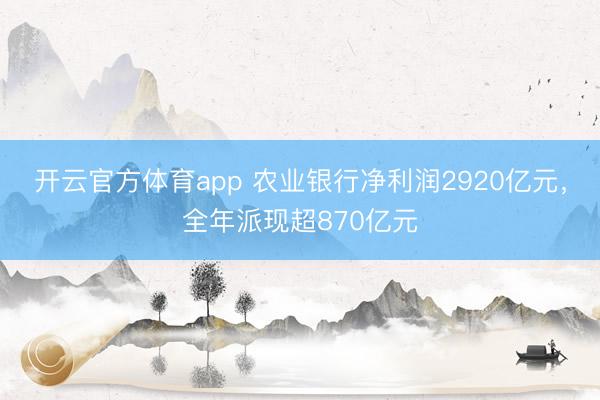 开云官方体育app 农业银行净利润2920亿元，全年派现超870亿元