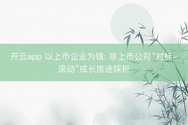 开云app 以上市企业为镜: 非上市公司“对标-滚动”成长旅途探析