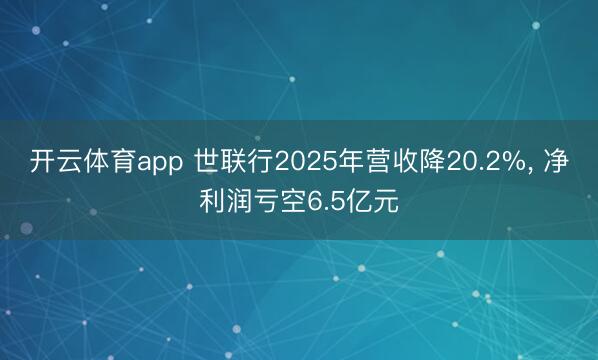 开云体育app 世联行2025年营收降20.2%, 净利润亏空6.5亿元