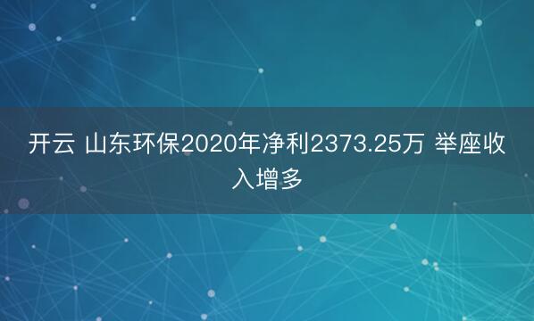开云 山东环保2020年净利2373.25万 举座收入增多