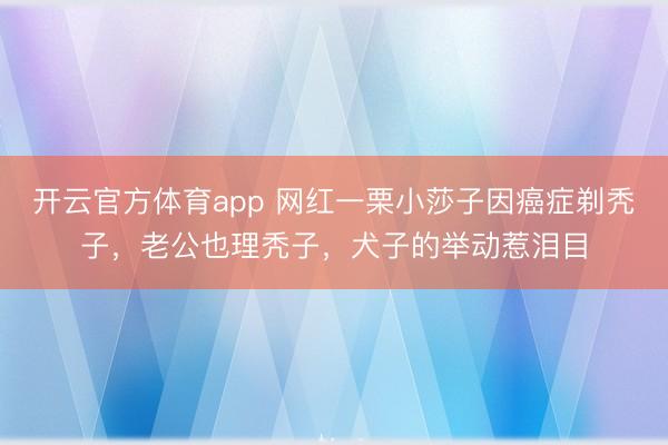 开云官方体育app 网红一栗小莎子因癌症剃秃子，老公也理秃子，犬子的举动惹泪目