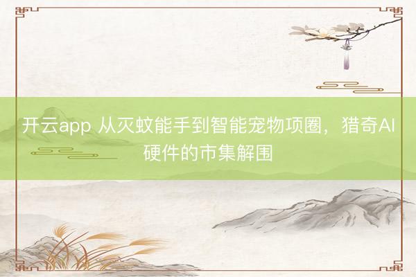开云app 从灭蚊能手到智能宠物项圈，猎奇AI硬件的市集解围